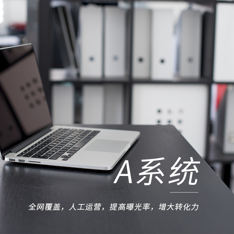 A系統 A系統